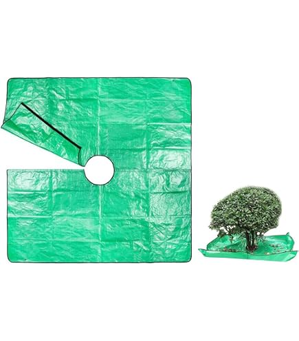 Amazon.co.jp: TARP GLASS The508 ver. TARPtoTARP : 産業・研究開発用品